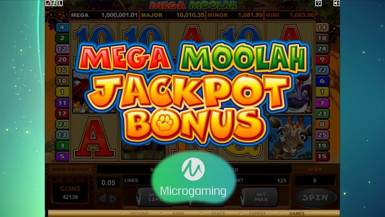 WildCardCity Online casino evaluation